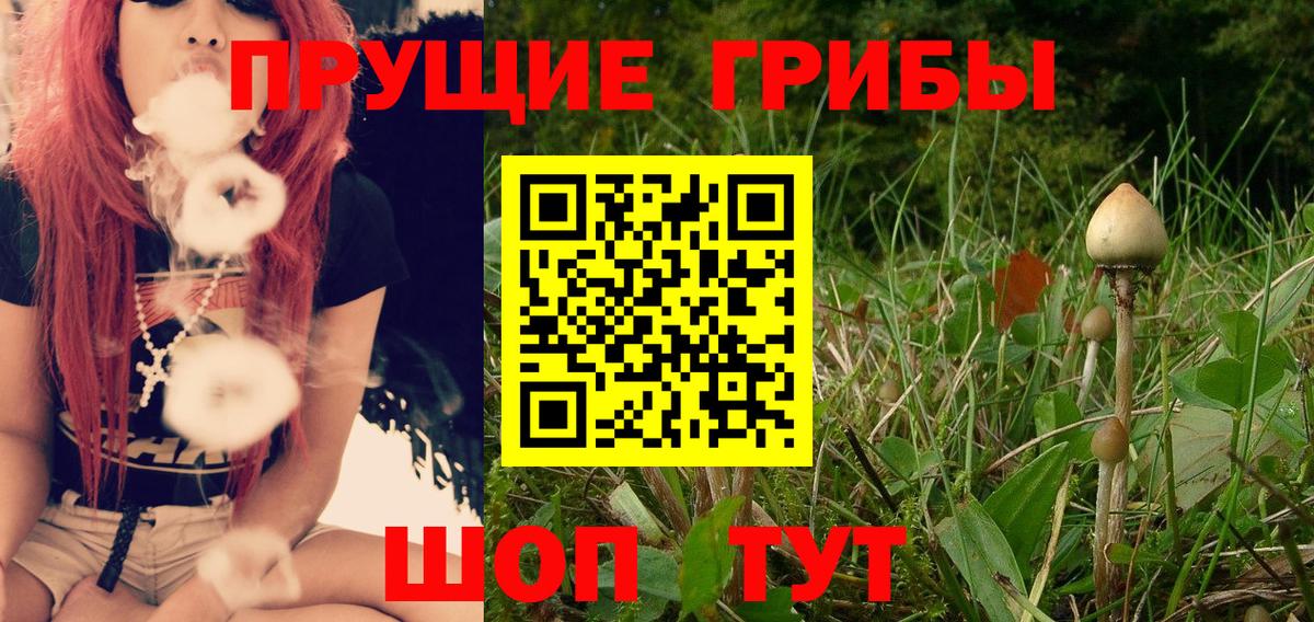 Саранск  Галлюциногенные грибы Psilocybe  Вход с VPN 