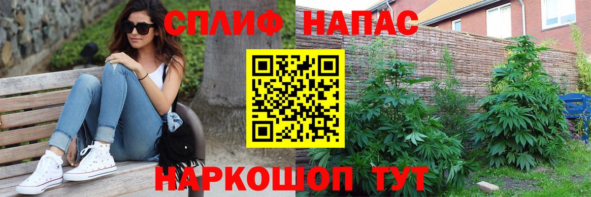 Саранск  Марихуана гибрид  Конопля сатива  Вход с VPN  Марихуана OG Kush  Бошки Шишки MAZAR 